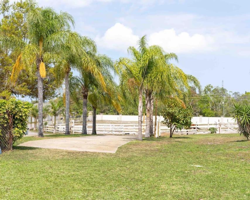 Tampa Bay Oasis Lägenhet Tarpon Springs Exteriör bild